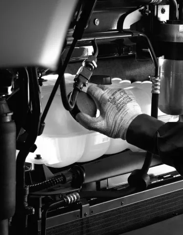 Campanha anticongelante